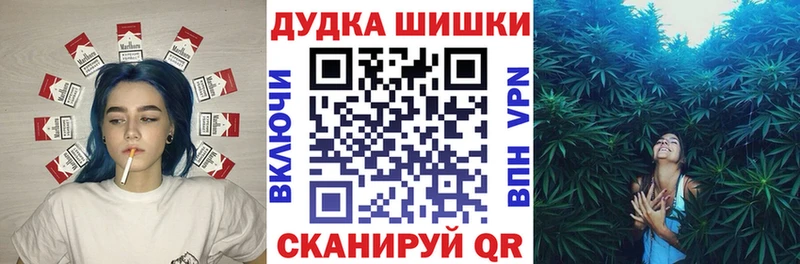 Бошки Шишки сатива  закладки  Весьегонск 